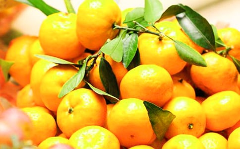 �����������ġ�����15ƪ��