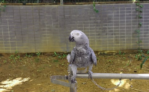 �Ҽҵ���������15ƪ