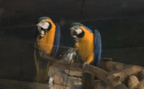 ��Ƥ�������ģ���ѡ45ƪ��