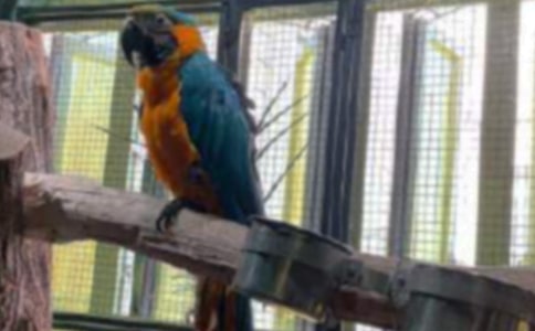 ĵ��������������