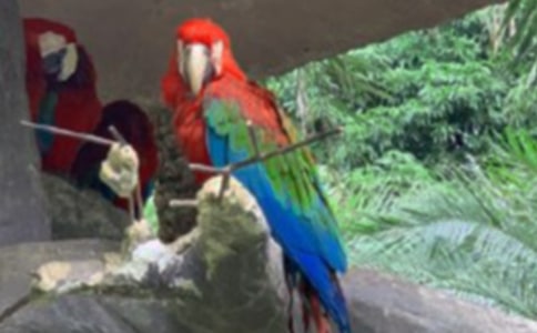 �Ҽҵ����ĵ�����