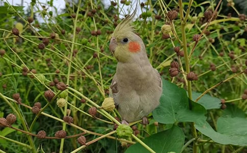 �������Ҽҵ���������