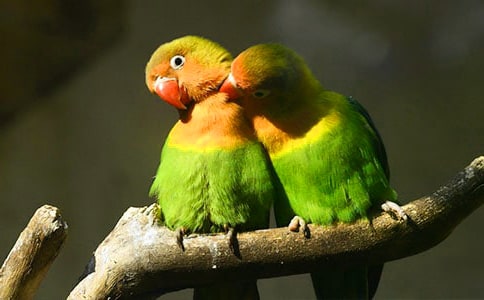 ���ȡ���Ƥ��������