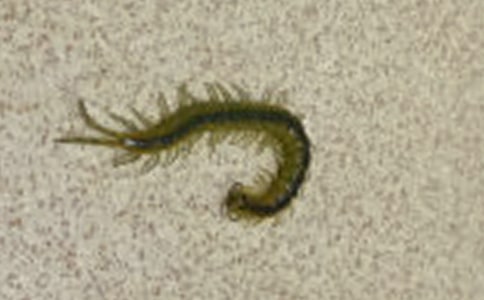 �������򼾺�߽̰�