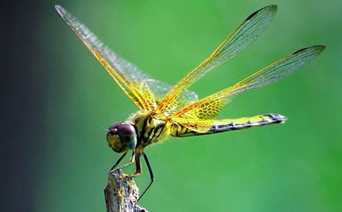 �������ѵ�����