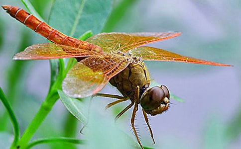 20���ŷ����ѡ��ڶ���ʱ