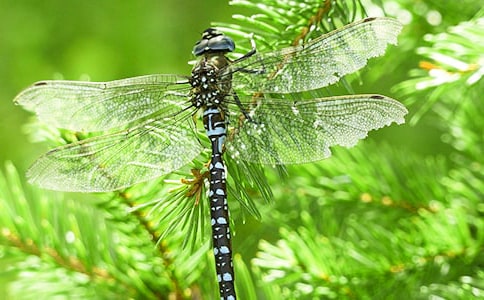 �а����������ѡ��̰�