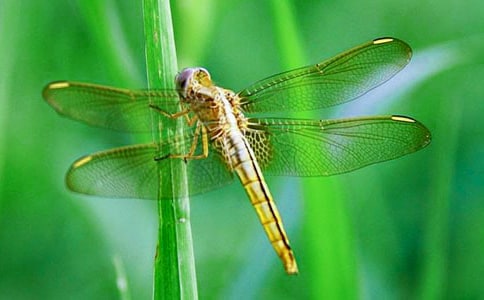 ���ѵ�����