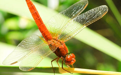 ��ͨ�á�������������15ƪ