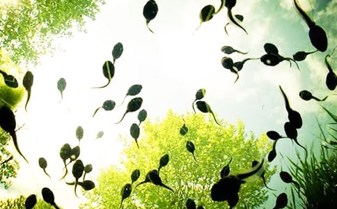 С�ࡶС��򽡷�����̰�������15ƪ��