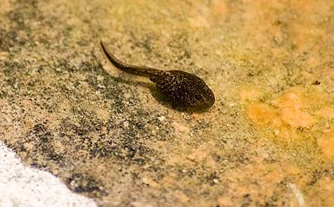 ����С���������̰��ϼ�15ƪ