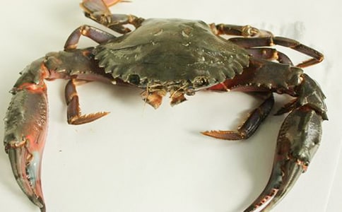 �з�������ľ��䡾15ƪ��