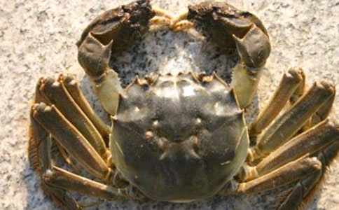 �а������̰������з