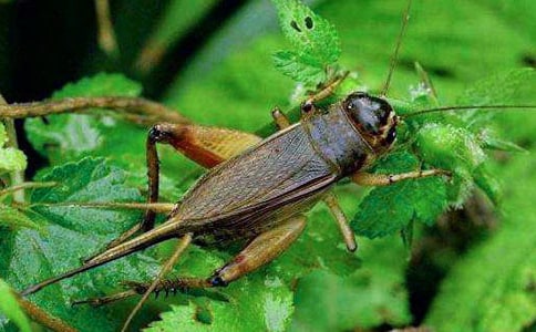 15 ���סլ         һ����ѧҪ��