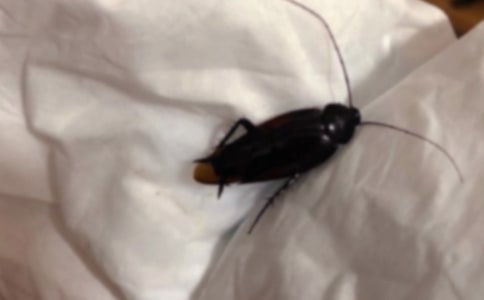 �����ҵ���ʾ��������