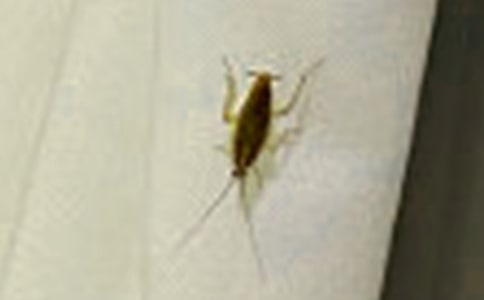 ��ս�������9ƪ