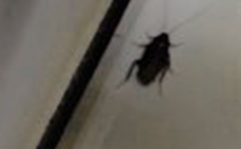 ���š���������15ƪ