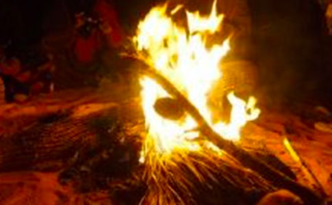 ������������(����15ƪ)