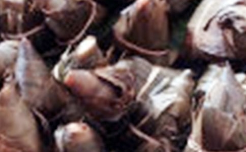 �������ӵ���������