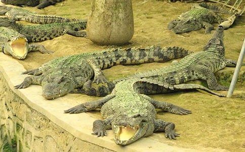 ������������