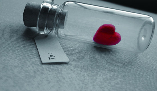 �������簮�����