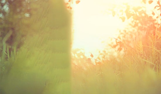 ���仨Ψ��ʫ��40�侫ѡ