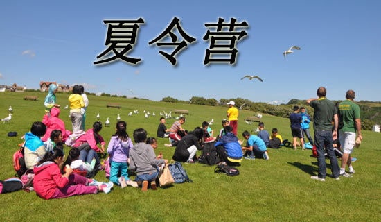 �����������Ӫ��ܽ�