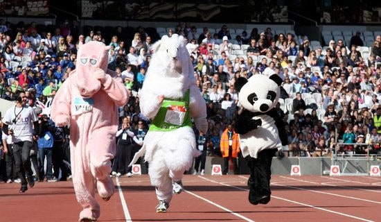 ���Ƽ��������˶������Ļ���ƪ